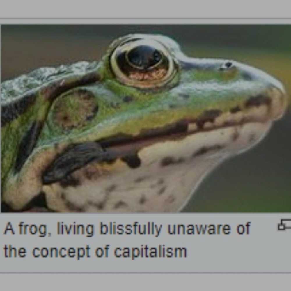 Meet your Posher, Felix